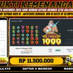 BUKTI KEMENANGAN MEMBER BOLA206 TANGGAL 29 NOVEMBER 2025.