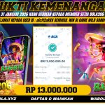 BUKTI KEMENANGAN MEMBER BOLA206 TANGGAL 31 JANUARI 2026