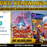 BUKTI KEMENANGAN MEMBER BOLA206 TANGGAL 11 MARET 2026