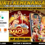 BUKTI KEMENANGAN MEMBER BOLA206 TANGGAL 11 APRIL 2026