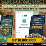 BUKTI KEMENANGAN MEMBER BOLA206 TANGGAL 22 JUNI 2026
